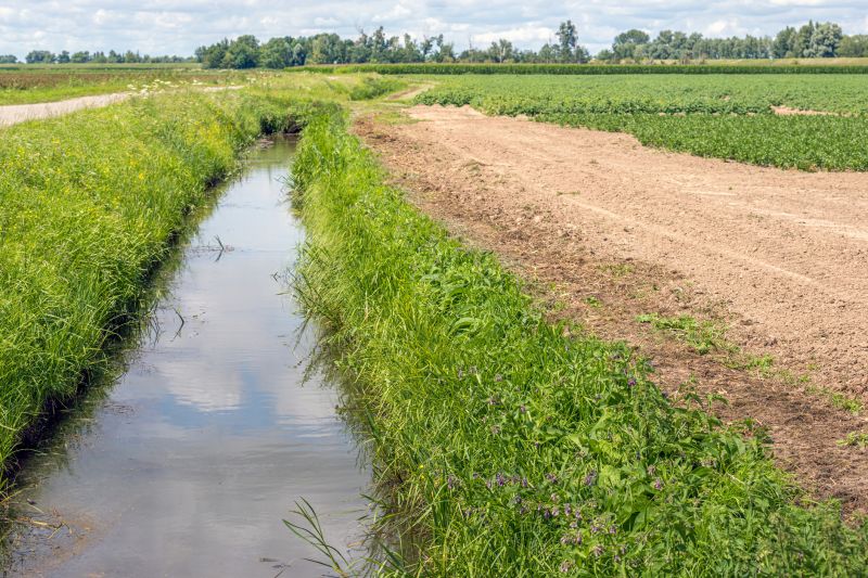 Drainage Ditch Construction